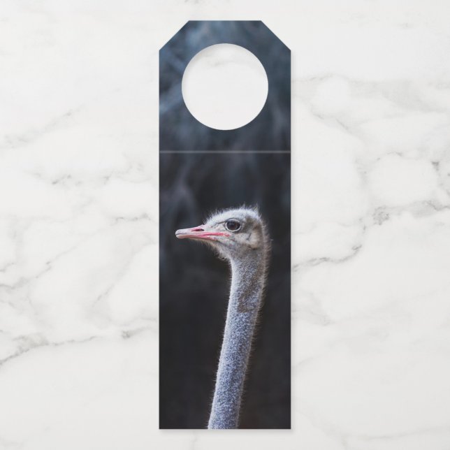 ostrich portrait     bottle tag (Front)