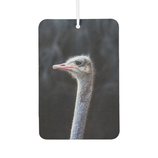 ostrich portrait   car air freshener (Front)
