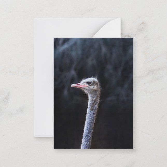 ostrich portrait    card (Front)