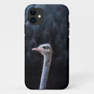 ostrich portrait Case-Mate iPhone case
