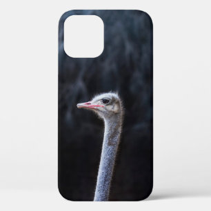 ostrich portrait     iPhone 12 case
