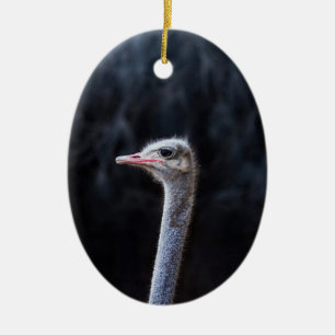 ostrich portrait    ceramic tree decoration