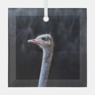 ostrich portrait glass tree decoration