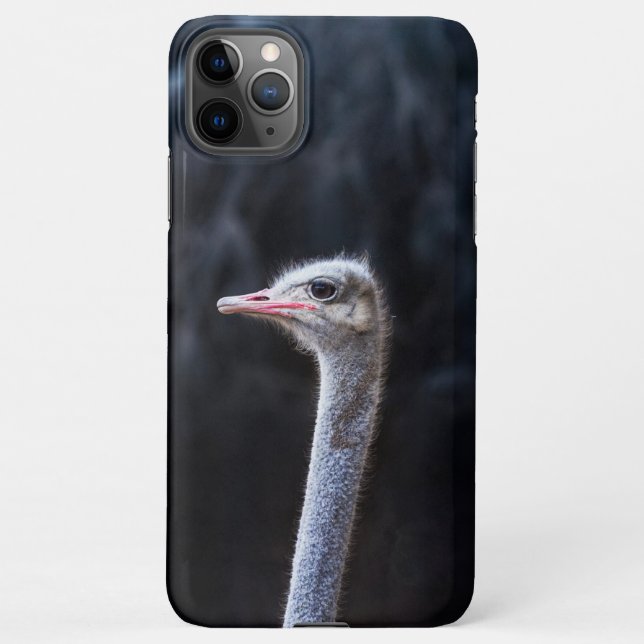 ostrich portrait     iPhone case (Back)