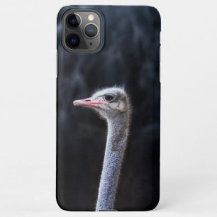 ostrich portrait     iPhone 11Pro max case