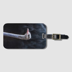 ostrich portrait   luggage tag