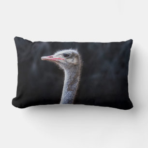ostrich portrait   lumbar cushion