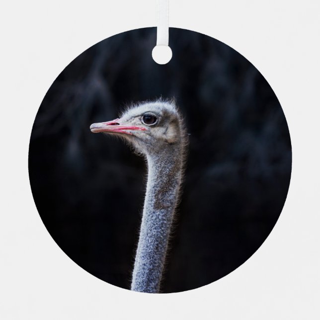 ostrich portrait     metal tree decoration (Front)