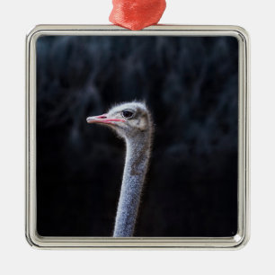 ostrich portrait    metal tree decoration