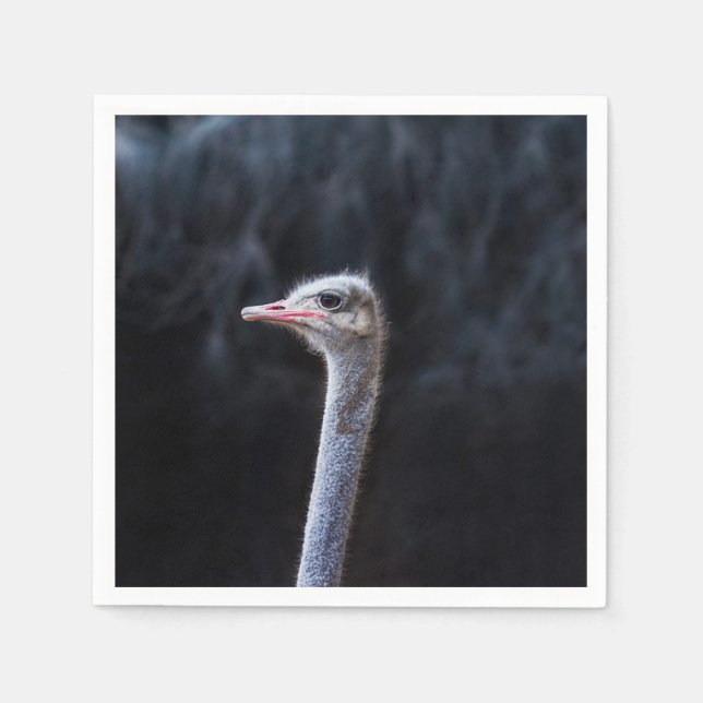 ostrich portrait   napkin (Front)