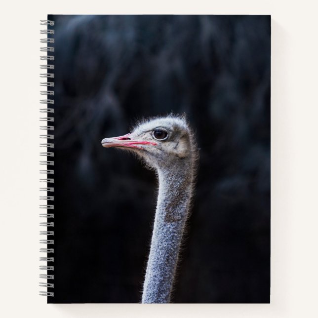 ostrich portrait     notebook (Front)