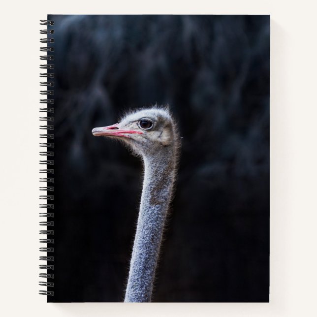 ostrich portrait     notebook (Front)