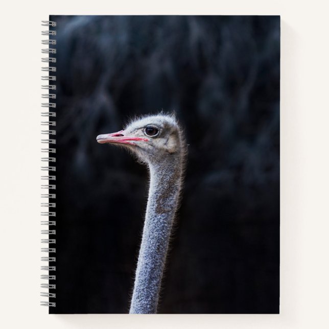 ostrich portrait   notebook (Front)