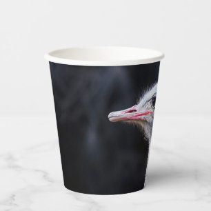 ostrich portrait   paper cups