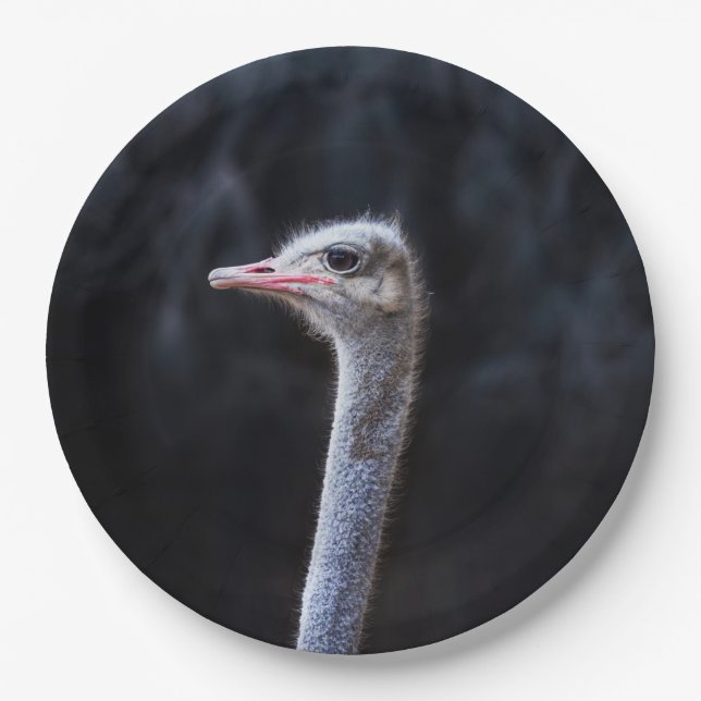 ostrich portrait    paper plate (Front)