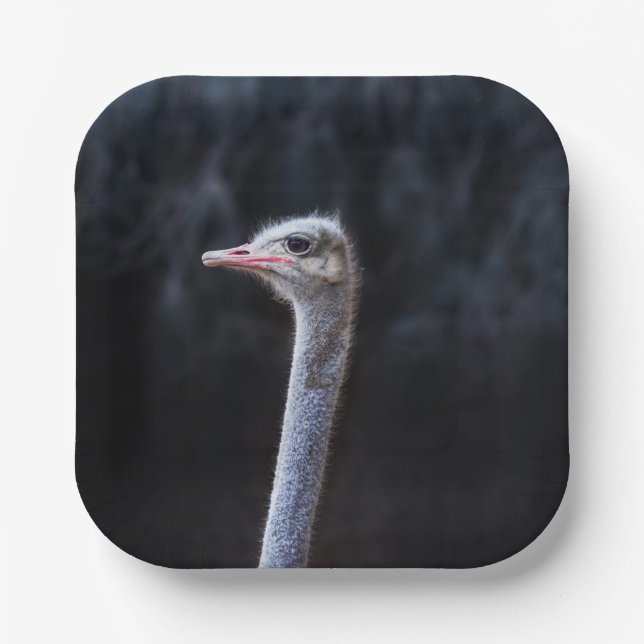 ostrich portrait     paper plate (Front)