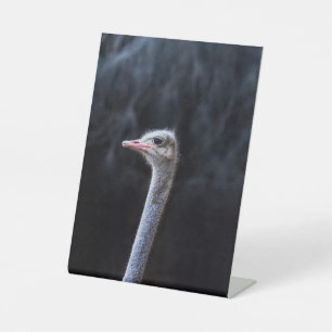 ostrich portrait    pedestal sign