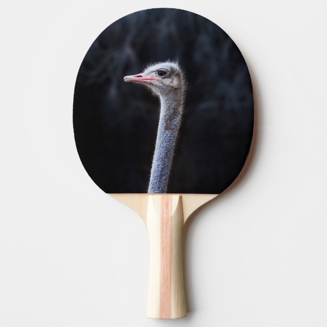 ostrich portrait  ping pong paddle (Front)