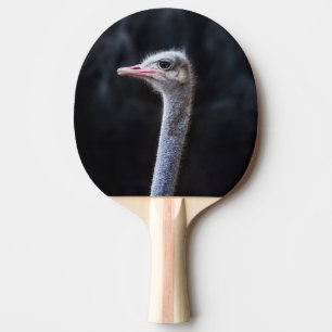 ostrich portrait ping pong paddle