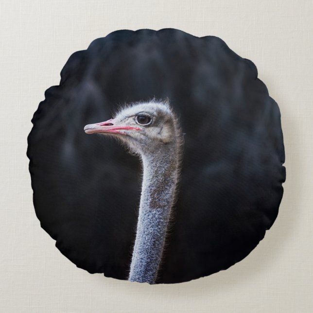 ostrich portrait    round cushion (Front)