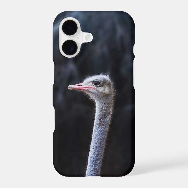 ostrich portrait     samsung galaxy s21 case (Back)