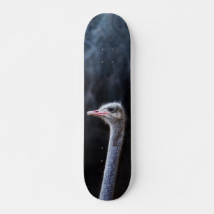 ostrich portrait skateboard