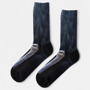 ostrich portrait    socks