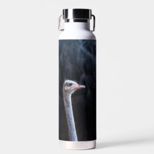 ostrich portrait water bottle