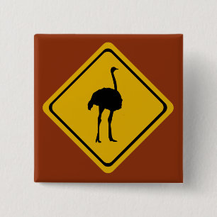 ostrich road sign 15 cm square badge