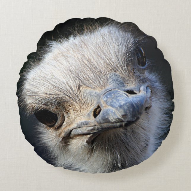 Ostrich Round Cushion (Front)