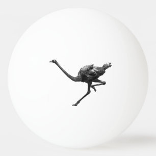 Ostrich Running Cool Athlete Animal Art Ping Pong Ball