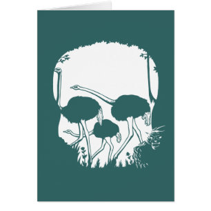 Ostrich Skull Illusion