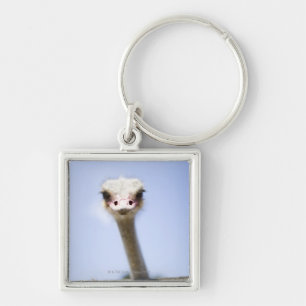 Ostrich Speak Key Ring