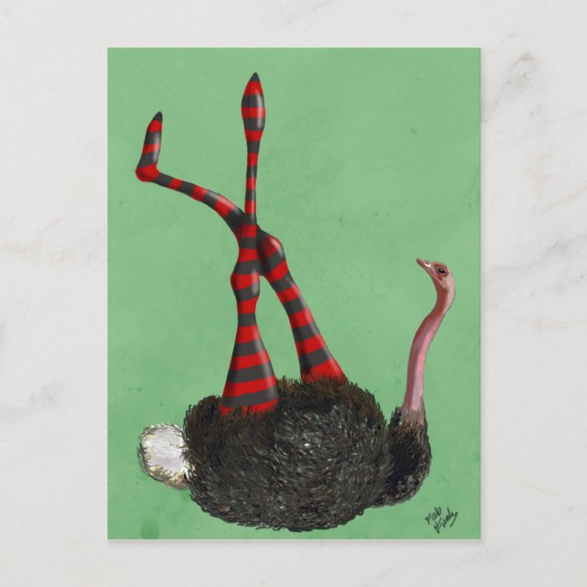 Ostrich Striped Leggings Postcard (Front)