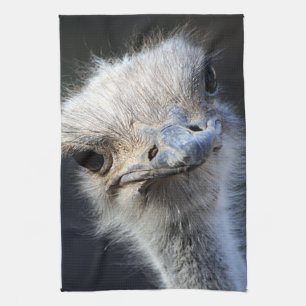 Ostrich Tea Towel