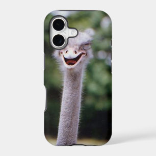 Ostrich Winking - Funny