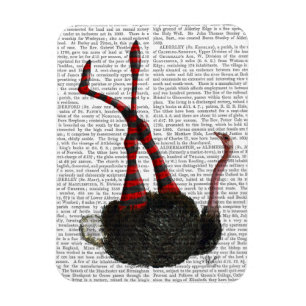 Ostrich with Striped Leggings Magnet
