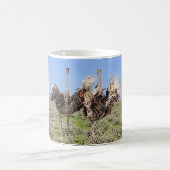 Ostriches bird Coffee Mug (Center)