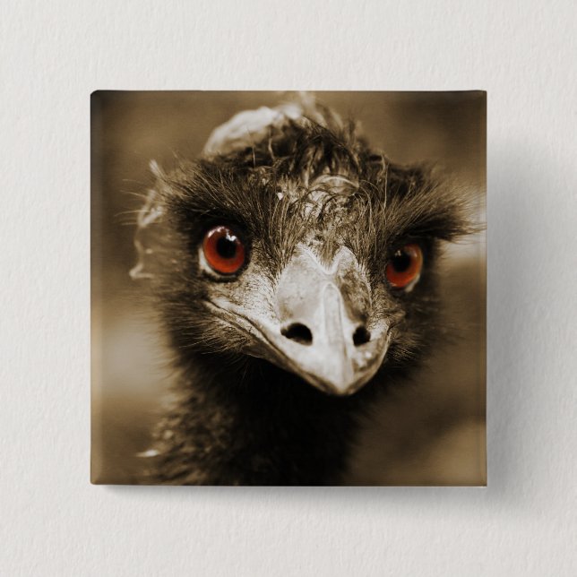 Ostriches Look button (Front)