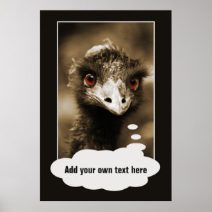Ostriches Look custom poster