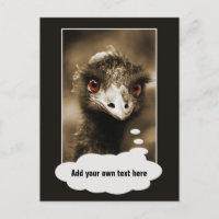 Ostriches Look custom text postcard