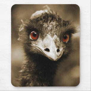 Ostriches Look mousepad