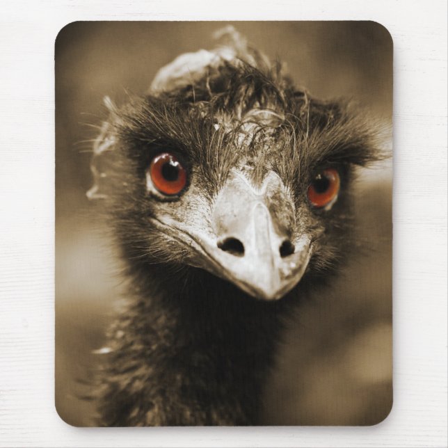 Ostriches Look mousepad (Front)