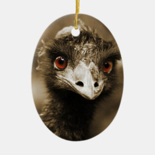 Ostriches Look ornament