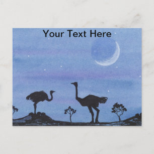 Ostriches Postcard