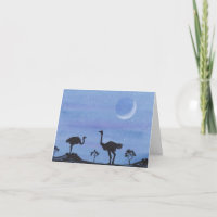 Ostriches