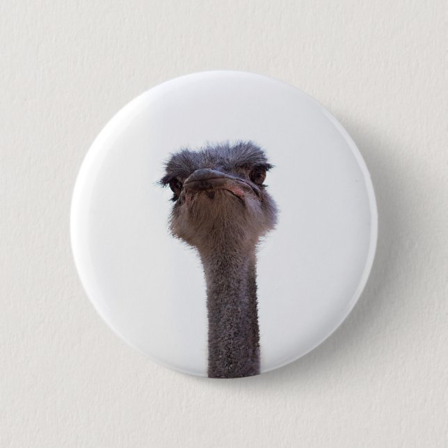Ostrish Coffee Mug Invitation 6 Cm Round Badge (Front)