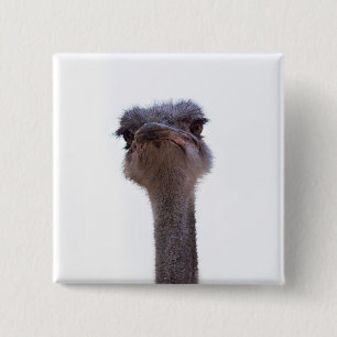 Ostrish Coffee Mug Invitation Keychain 15 Cm Square Badge