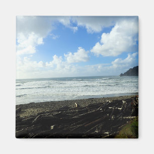 Oswald West State Park, Oregon Coast Magnet