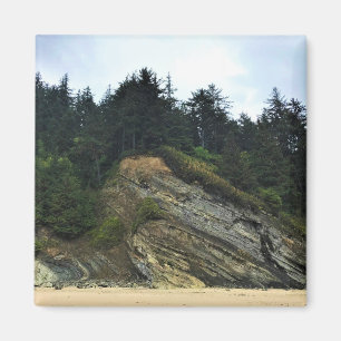 Oswald West State Park, Oregon Coast Magnet
